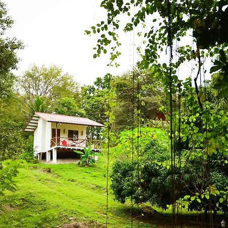 Istmo Beach And Jungle Bungalows San Carlos Exterior photo
