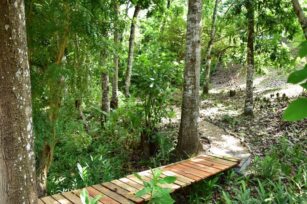 Istmo Beach And Jungle Bungalows San Carlos Exterior photo
