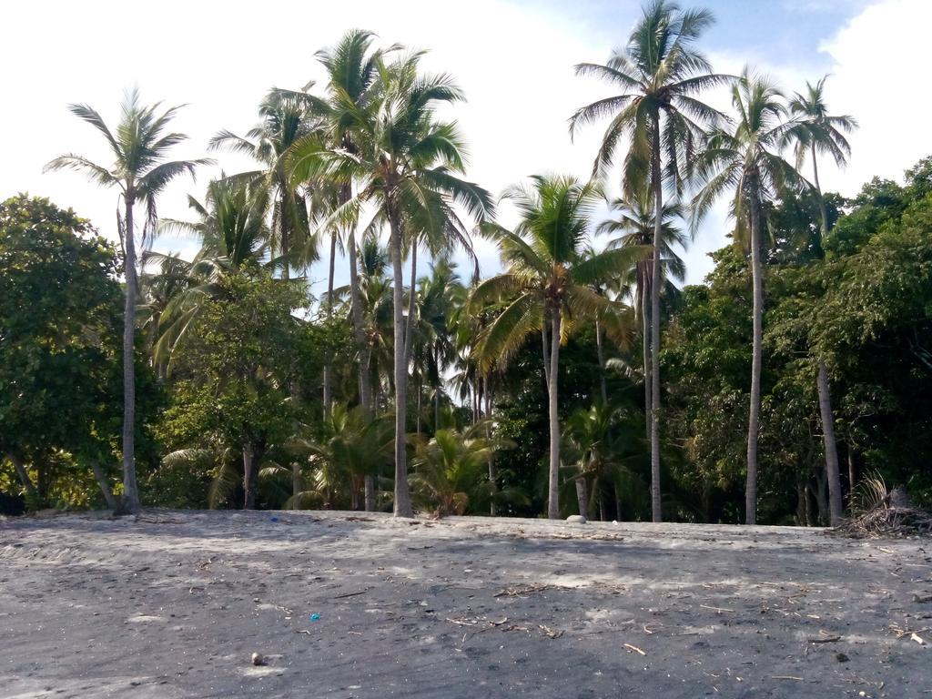 Istmo Beach And Jungle Bungalows San Carlos Exterior photo
