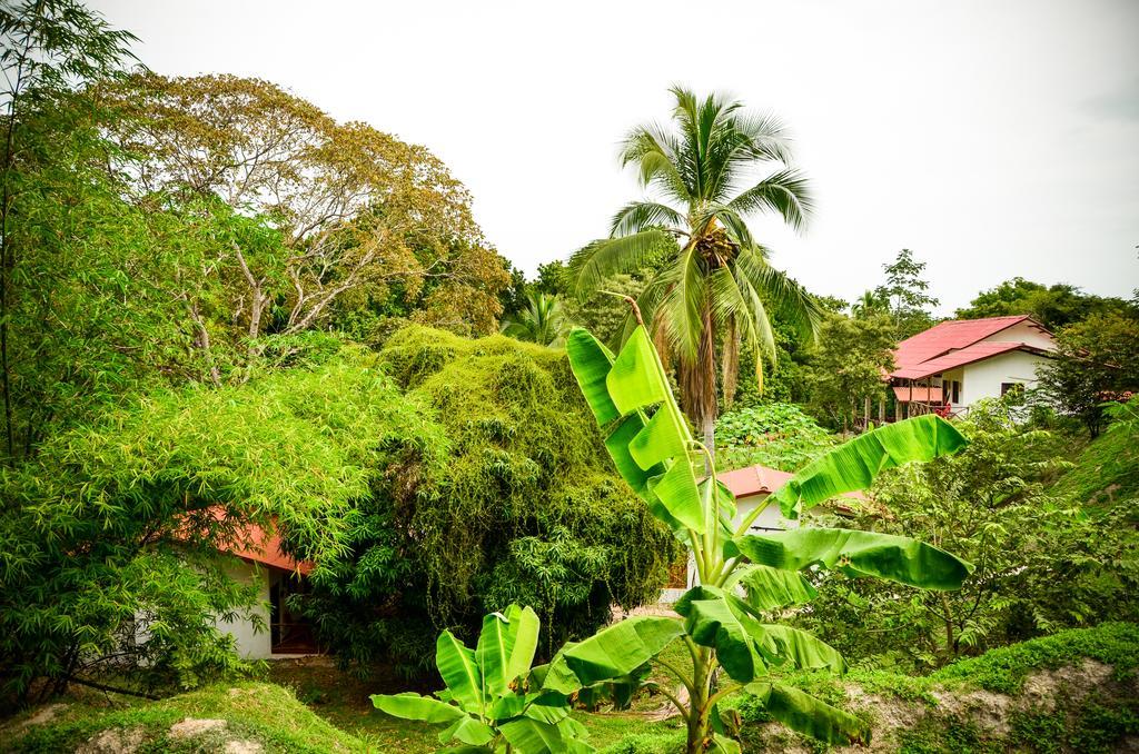 Istmo Beach And Jungle Bungalows San Carlos Exterior photo