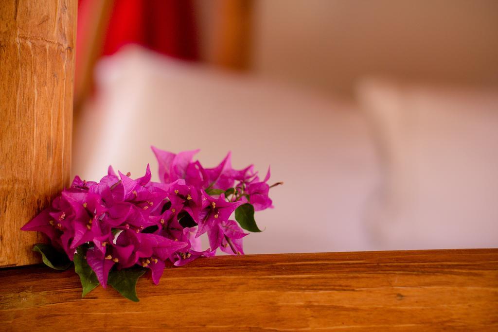 Istmo Beach And Jungle Bungalows San Carlos Room photo