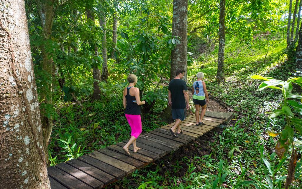 Istmo Beach And Jungle Bungalows San Carlos Exterior photo
